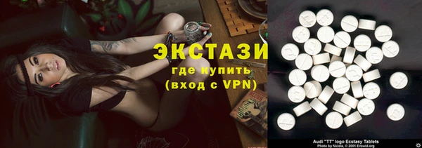 spice Богородицк