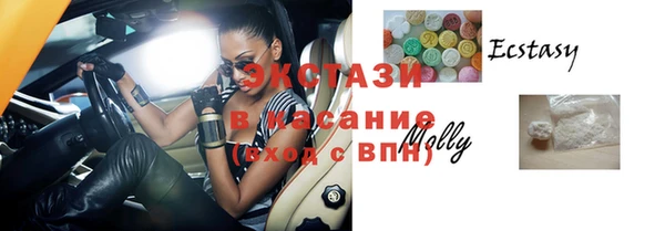 spice Богородицк
