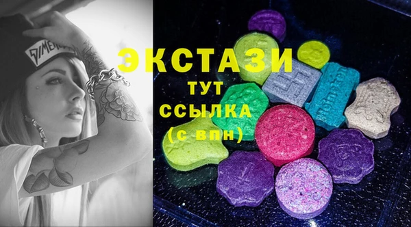 spice Богородицк