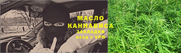 spice Богородицк