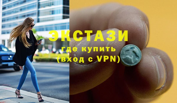 spice Богородицк