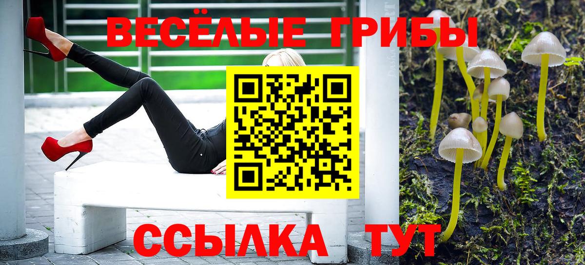 Воркута  Галлюциногенные грибы Magic Shrooms  Вход с VPN 